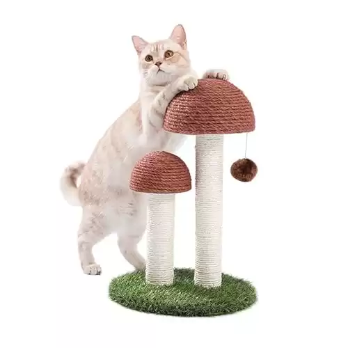 PAWZ Road Mushroom Scratching Post for cats, Sisal Cat Scratching post with ball 48cm/18.9"