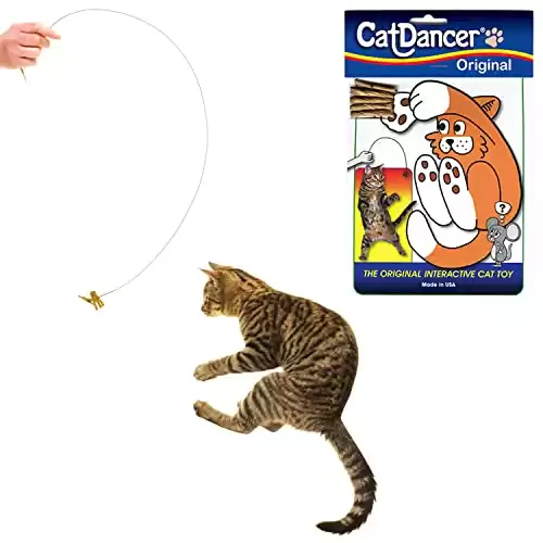 Cat Dancer Toy